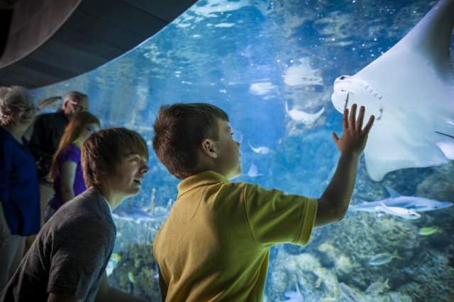 Omaha's Henry Doorly Zoo and Aquarium
