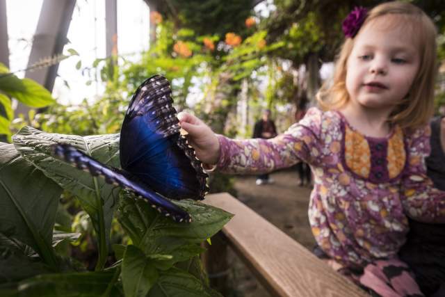 Omaha's Henry Doorly Zoo & Aquarium