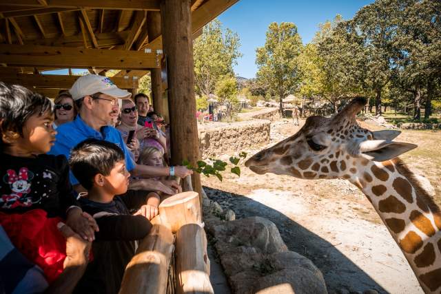 Omaha’s Henry Doorly Zoo & Aquarium
