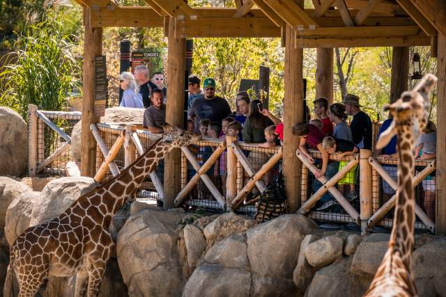 Omaha's Zoo