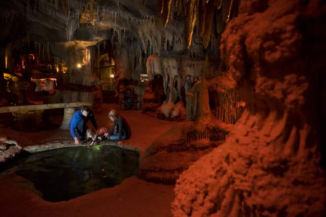 Omaha Zoo - Cave