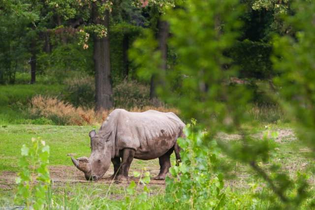 Omaha’s Henry Doorly Zoo and Aquarium