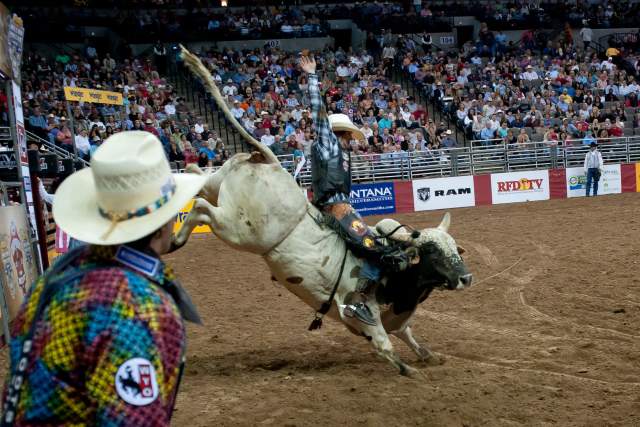 River City Rodeo