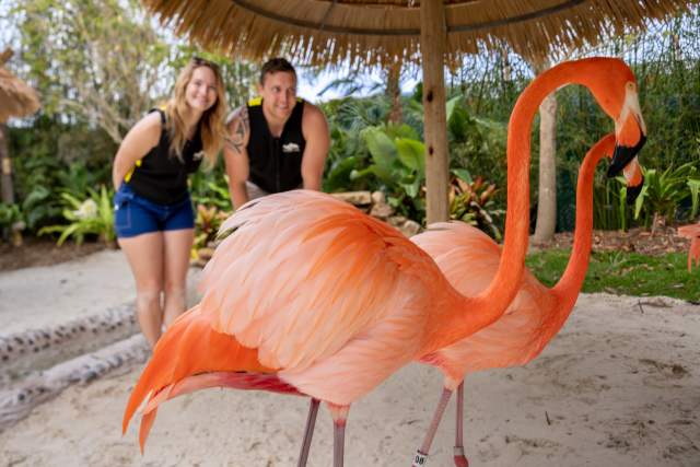 2306-DiscoveryCove2024GrandReef-2025-5.jpg