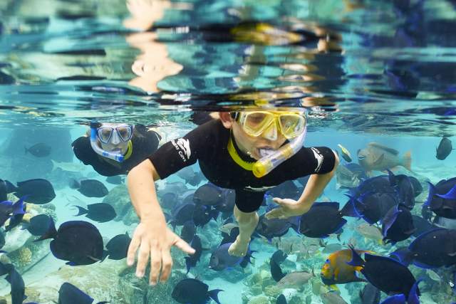 Kids snorkeling in the water with fish at Discovery Cove