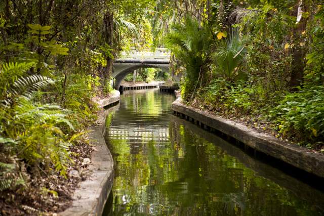 canal along the Winter Park Scenic Boat Tour