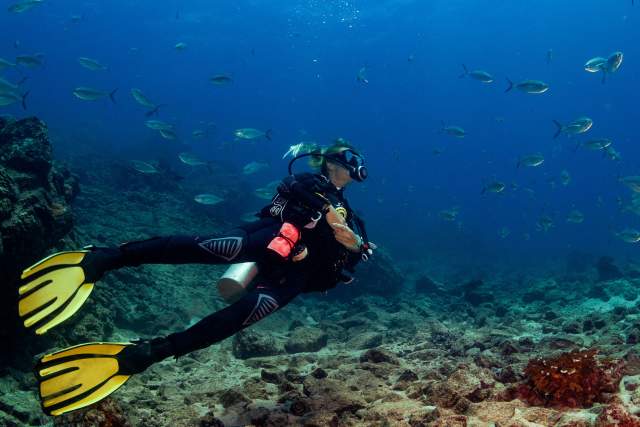 Diving near corals and colorful schools of fish in Islas de Afuera, Coiba
