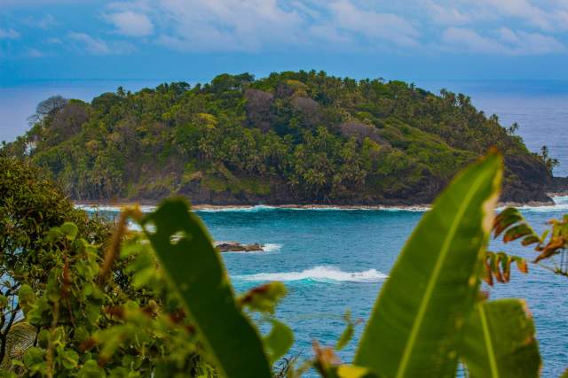 small island covered in lush greenery, surrounded by clear blue water with gentle waves. The foreground shows lush vegetation framing the view.
