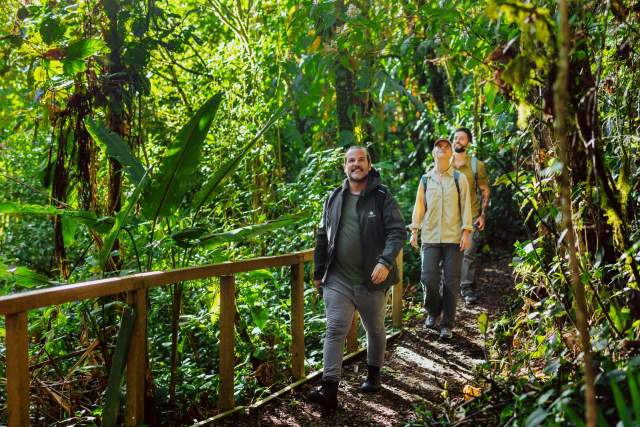 Hiking in La Amistad International Park surrounded by tropical rainforest in Panama