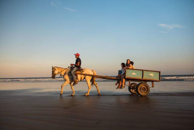 A gang of buddies riding in a horse-drawn carriage.