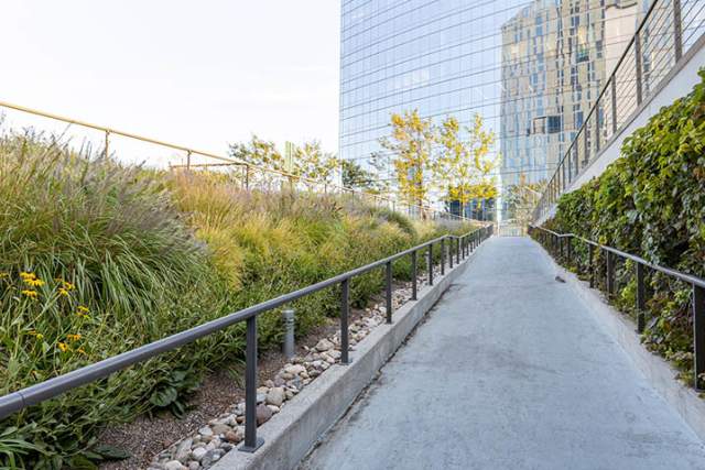 Walking path with green plants on both sides