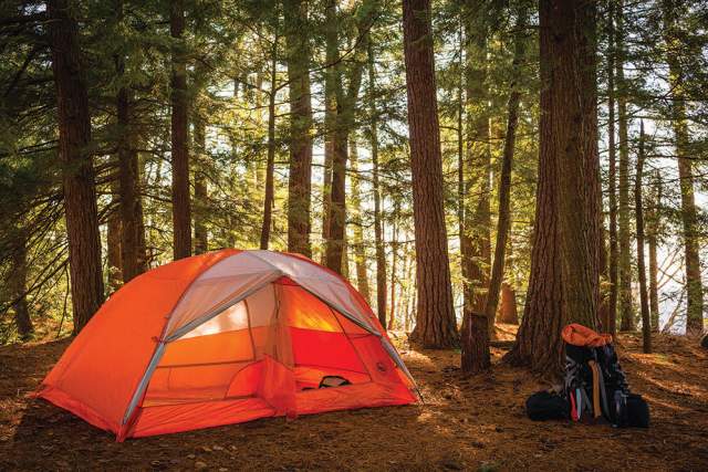 An orange tent pitched in the woods