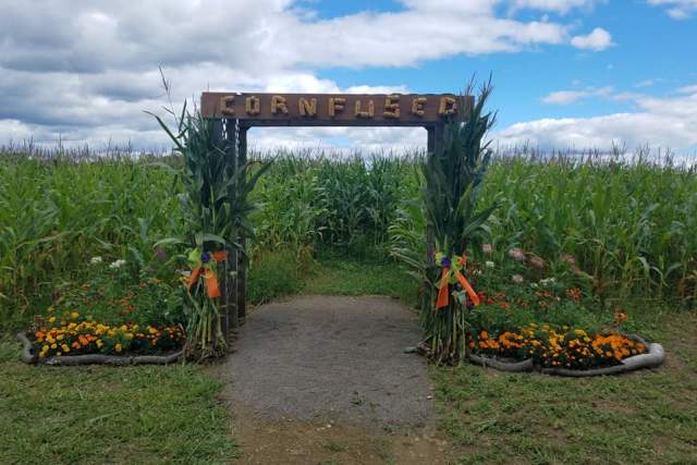 An arched entryway to a corn field