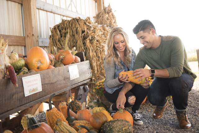 A man and woman leaning down and picking up a pumpkin from a pumpkin display at a farm