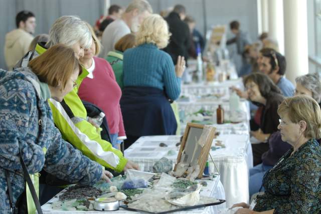 Women picking up and shopping at a vendor table