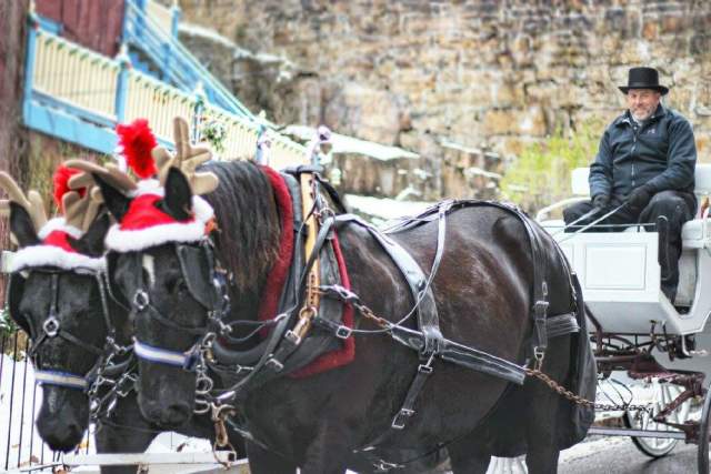 Man with a top hat in a horse drawn carriage
