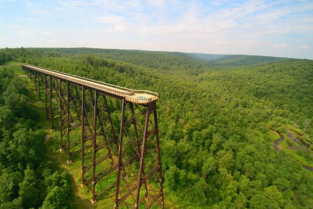 A large skywalk over top of a forest of trees on a sunny day