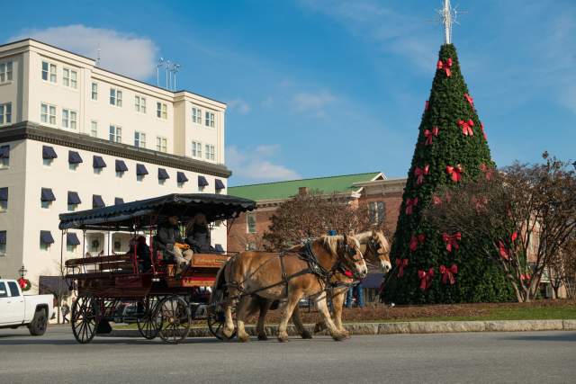 Carriage with people in it being pulled by three horses making it's way around Gettysburg's city center with a giant, decorated Christmas tree in the middle