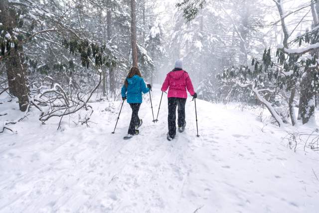 Two people in snow gear cross country skiing through snowy woods