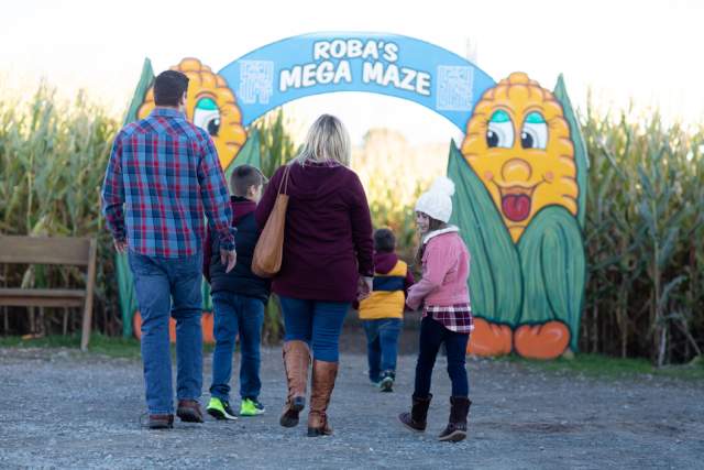A family of five walks into an arched entrance to a corn maze that reads Roba's Mega Maze