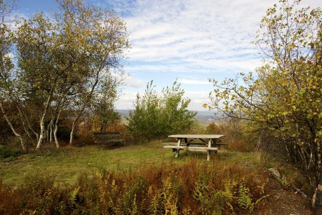 An empty picnic table in a park with fall foliage-filled tress surrounding it