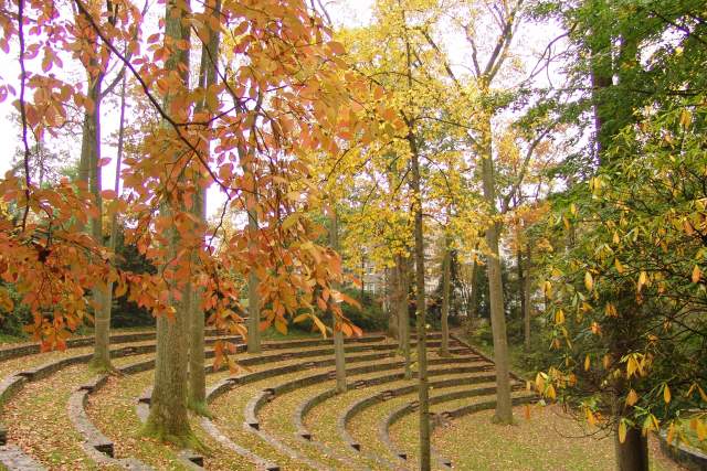 A garden covered in orange and yellow fall foliage leaves
