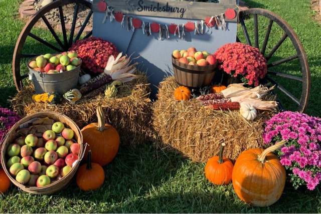 Display of pumpkins, mums, and apples in baskets for people to pose and take pictures at