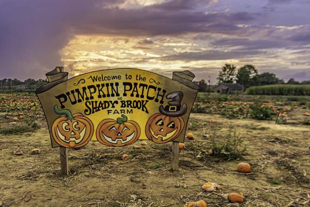 Sign on a pumpkin patch that reads "Welcome to the Pumpkin Patch at Shadybrook Farm"