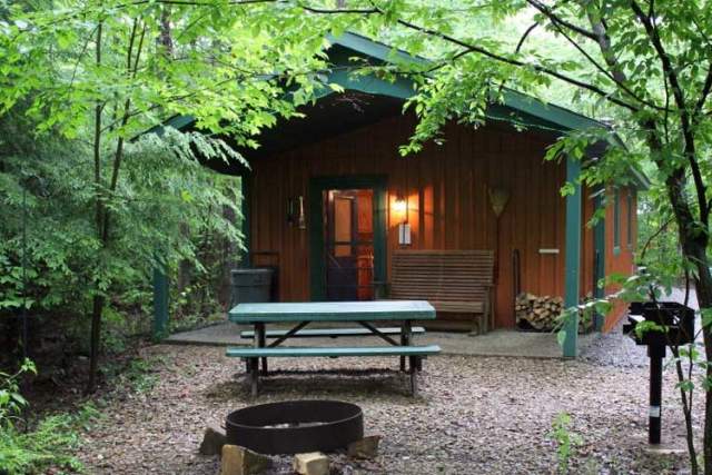 Exterior of a small wood cabin with a green picnic bench in front nestled in the woods