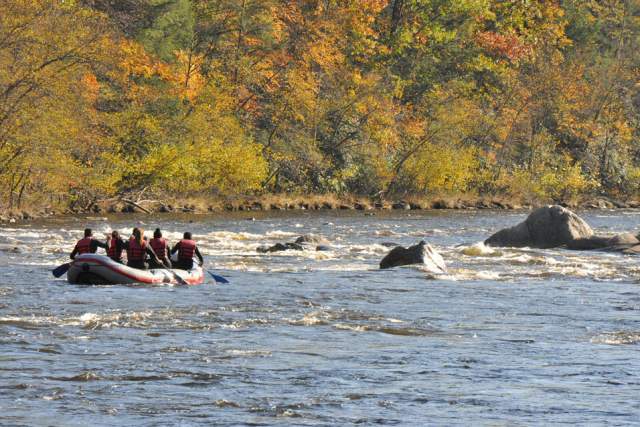 People whitewater rafting on a river