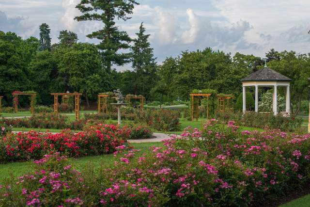 A rose garden with archways scattered throughout the grounds and a gazebo