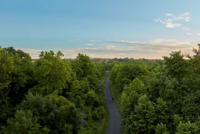Aerial view of a trail that runs in between tall trees