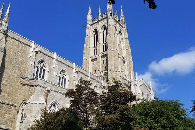 A large stone church tower with gothic architecture reaches into a clear blue sky, surrounded by trees.