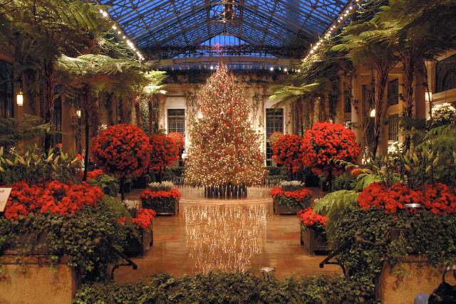 Large Christmas tree and red poinsettias in the middle of an atrium at Longwood Gardens in Kennett Square