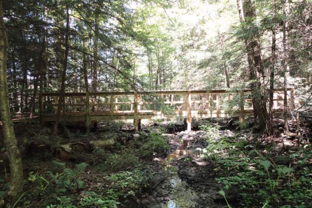 A wooden bridge in a forest