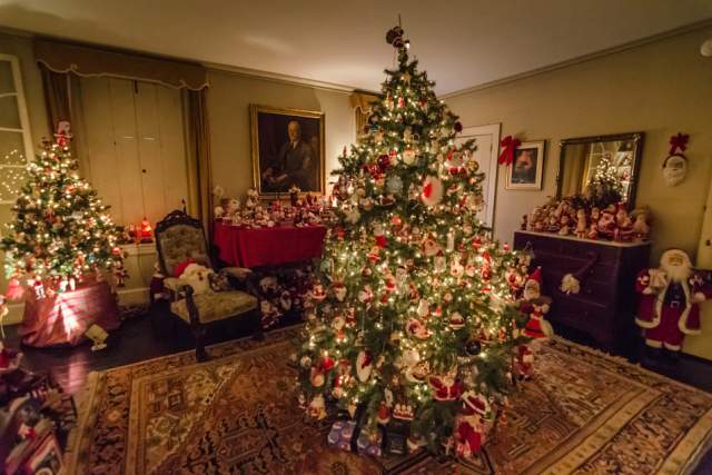 Christmas Tree decorated with lights in the Historic Grange Estate in Havertown
