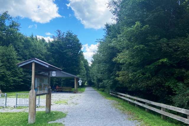 A gravel trail head in the woods