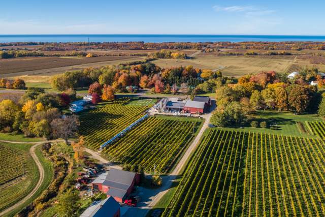 Aerial of a vineyard on a sunny day