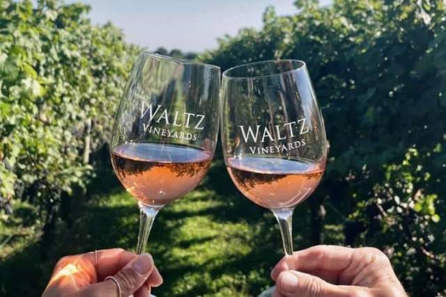 Two hands cheering with wine glasses at Waltz Vineyards