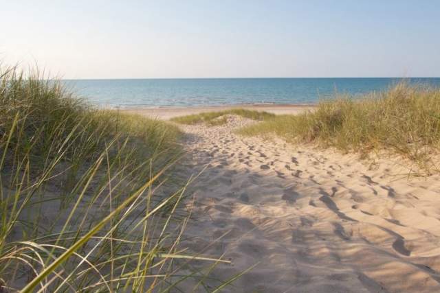 Indiana Dunes State Park