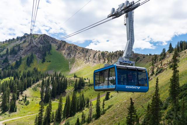 Explore new heights on the Snowbird Aerial Tram