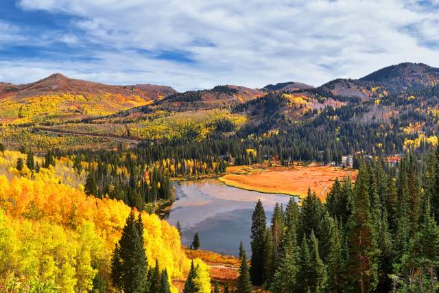 Adobe Stock Fall imagery