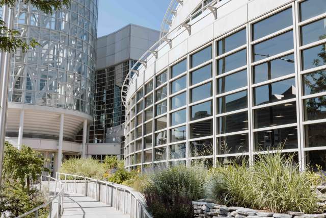 Plants in front of East Registration