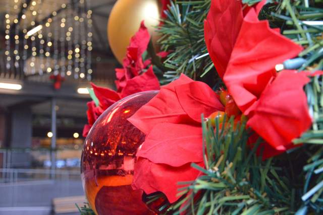 Trolley Square Christmas