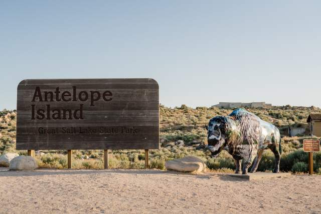 Antelope Island Bison Statue