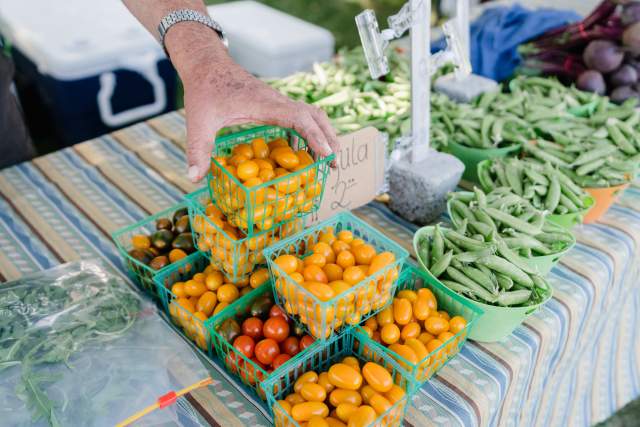 Vegetables at Wheeler Farm Farmers' Market