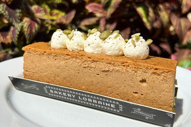 pumpkin spice cheesecake on a plate