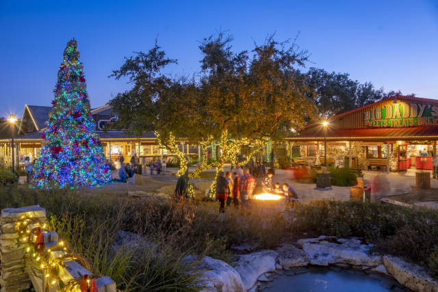 Natural Bridge Caverns with Christmas Decorations