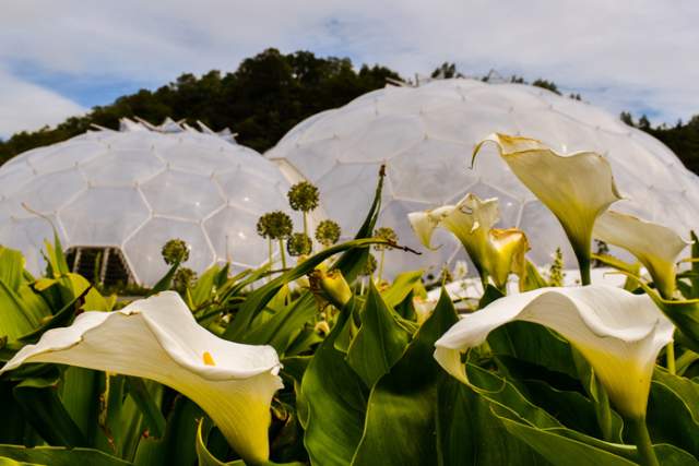 Embracing Sustainability