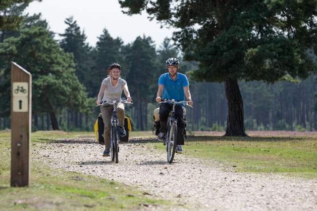A man and a woman cycling through the New Forest on a sunny day